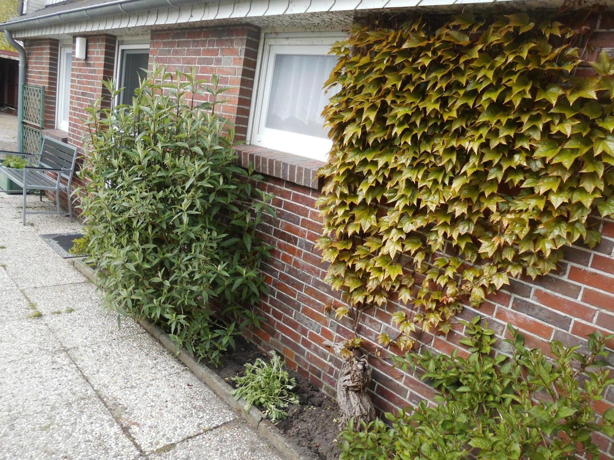 Moewennest Villa Neuharlingersiel Eksteriør billede